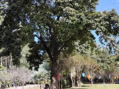 -广州市流溪河国家森林公园