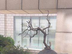 -新荣记(建国门外大街店)