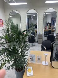 点击看大图 -慕名造型