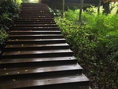 -杭州半山国家森林公园