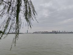 -无锡蠡湖国家湿地公园-蠡园