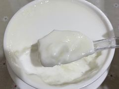 -老周记顺德双皮奶