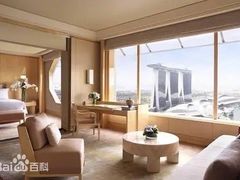 -新加坡丽思卡尔顿美年酒店