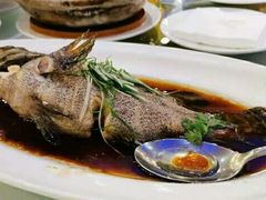 清蒸老虎斑-新花城蟹粉馆(乌鲁木齐店)