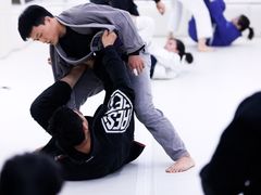 -菠萝格斗巴西柔术训练馆