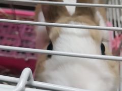 -颜记糖水铺子