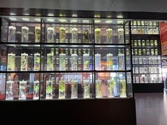 -广东中医药博物馆
