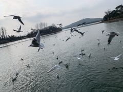 -渤公岛生态公园
