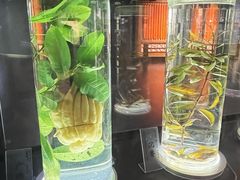 -广东中医药博物馆