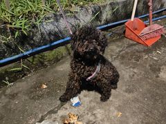 -金铂广场(龙归店)