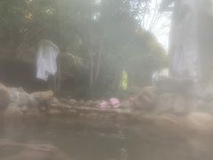 -深业半汤御泉庄温泉