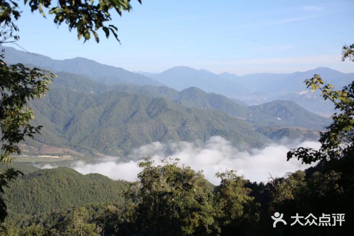 腾冲北海湿地图片