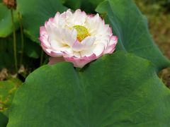 -南戴河国际娱乐中心