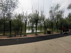 -杨柳青庄园