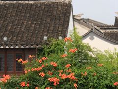 -山塘街