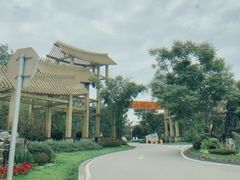 -桤木河湿地公园