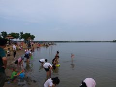 -武清南湖绿博园