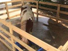 -郑州银基黄帝宫御温泉