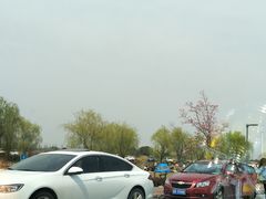 -漕湖湿地公园