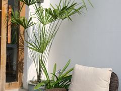 -她说户外烧烤团建(西湖店)