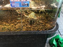 -海鲜e族(马王堆店)