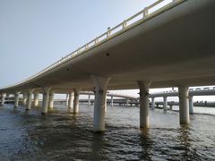 -演武大桥观景平台