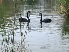-南阳卧龙岗武侯祠