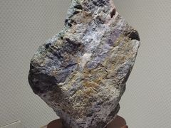 -中国第四纪冰川遗迹陈列馆