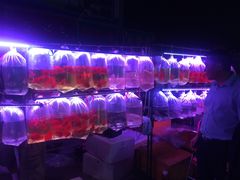 -中环花鸟鱼虫市场
