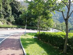 -火炉山森林公园