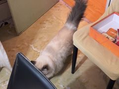 -剧狐剧本杀·月球探案馆(人民广场1号店)