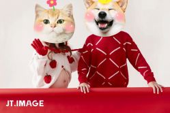 -专注孕妇照亲子照·纪田摄影