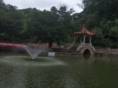 -郑和公园