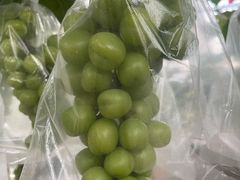 -马陆小张葡萄园农家乐