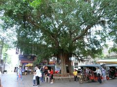 -涠洲岛-圣母堂
