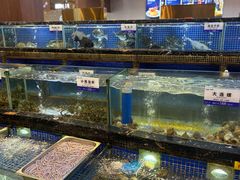 -欢乐海岸美食联盟