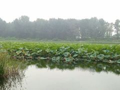 -北京瑞麟湾温泉度假酒店