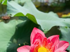 -苏州河梦清园环保主题公园