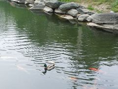 -圆明园遗址公园-藻园门售票处