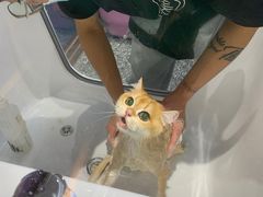 -FAELING PETS美天灵宠物(富力广场店)