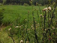 android_upload_pic-沈阳静安马场