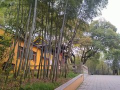 -宝岩生态观光园