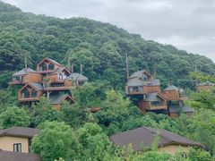 -杭州开元森泊度假乐园