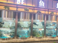 -老船舫·现做活鲜鱼馆(东郊记忆店)