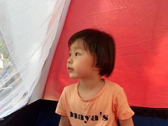-白水寺森林公园