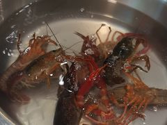 -比尔森巴西烤肉自助(红旗街店)