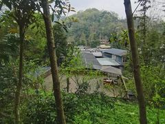 -凤栖山