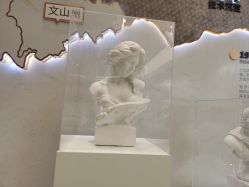 -云南吴氏嘉美医疗美容医院