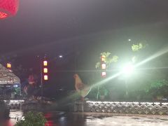 -头上红煨盐鸡·非遗院子餐厅