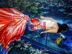 -太平洋海底世界